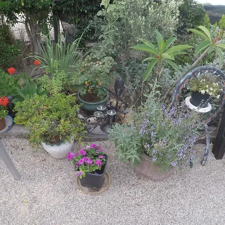 Villa Asbn Magic Garden à Acre Extérieur photo