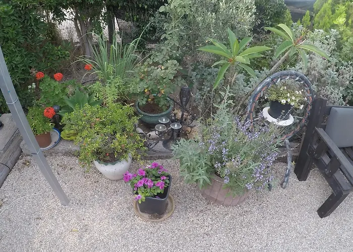 Asbn Magic Garden