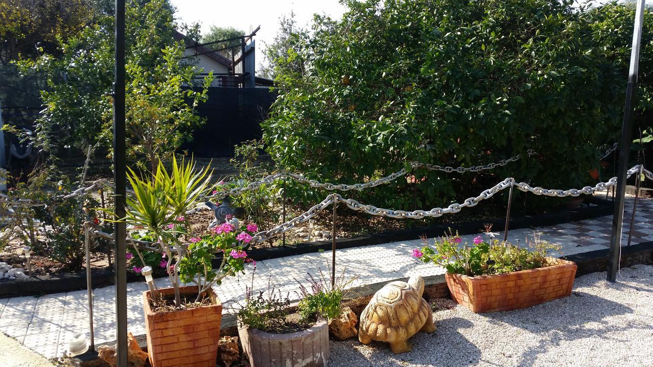 Asbn Magic Garden