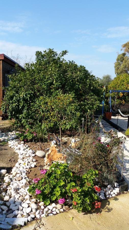 Asbn Magic Garden Chalet