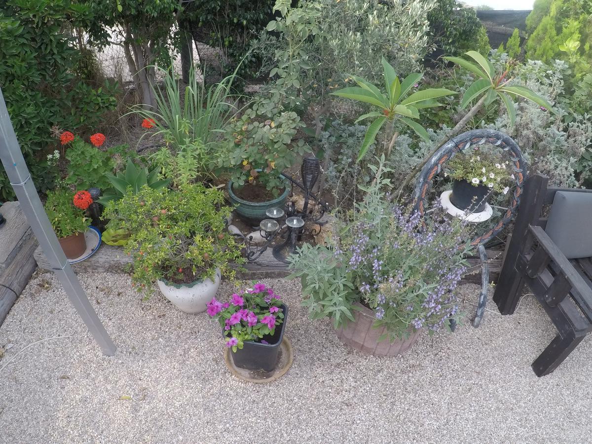 Asbn Magic Garden Chalet